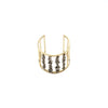 Cage Ring